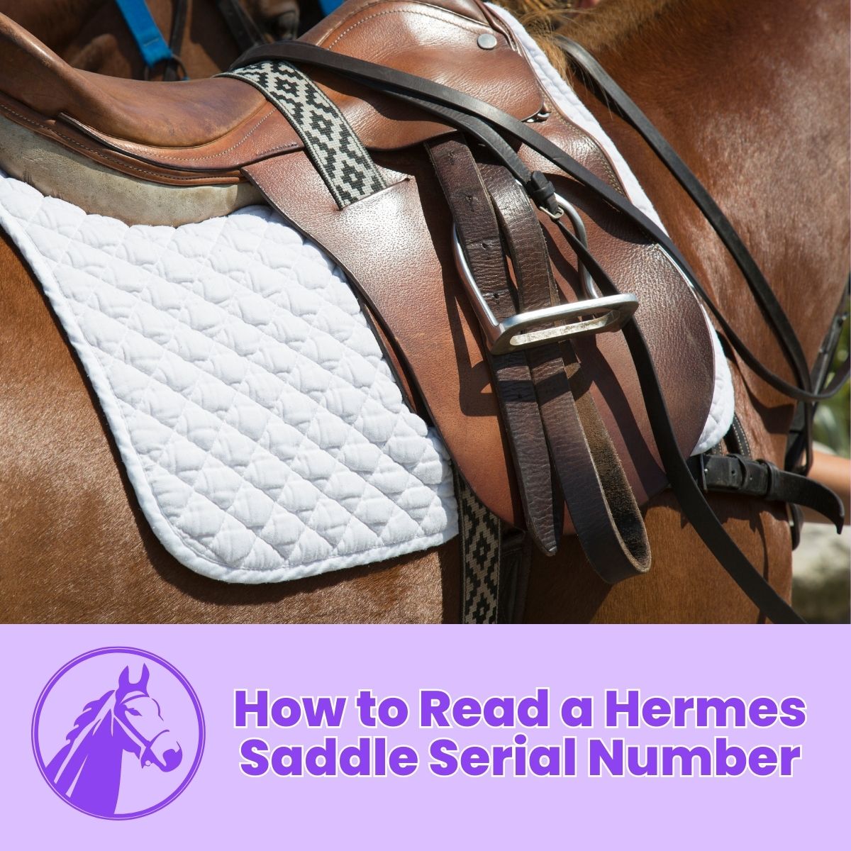 You are currently viewing How to Read a Hermes Saddle Serial Number