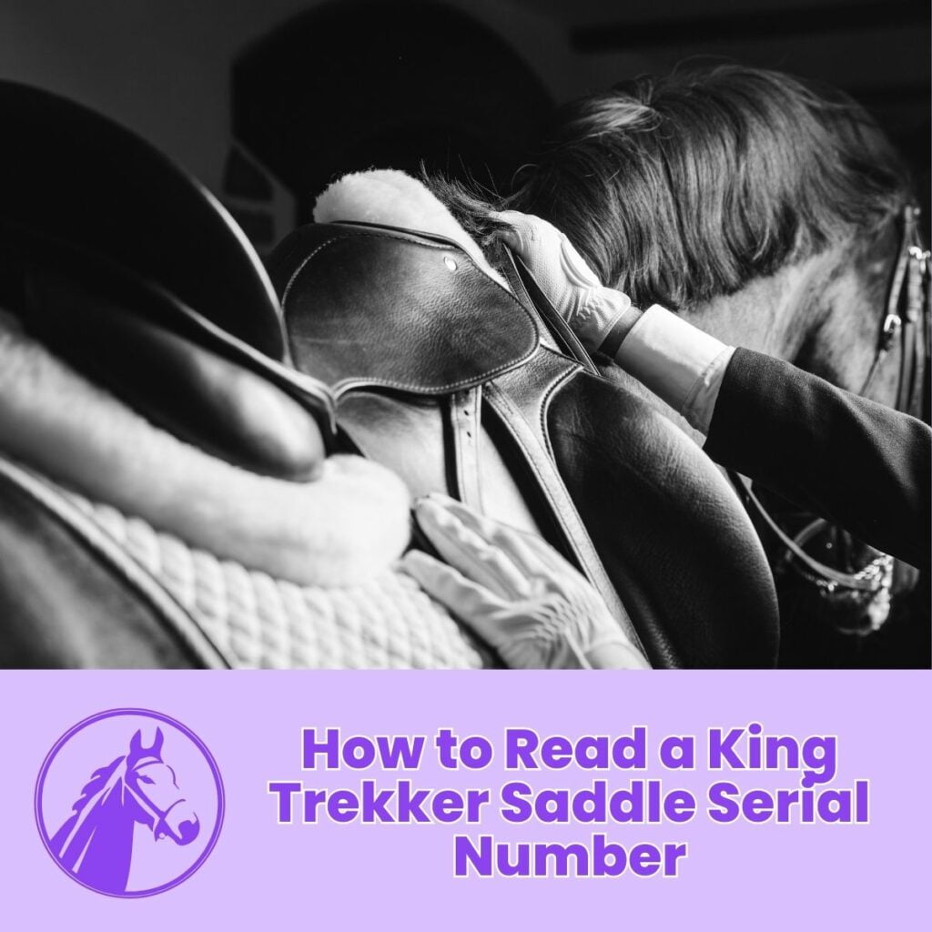 How to Read a King Trekker Saddle Serial Number