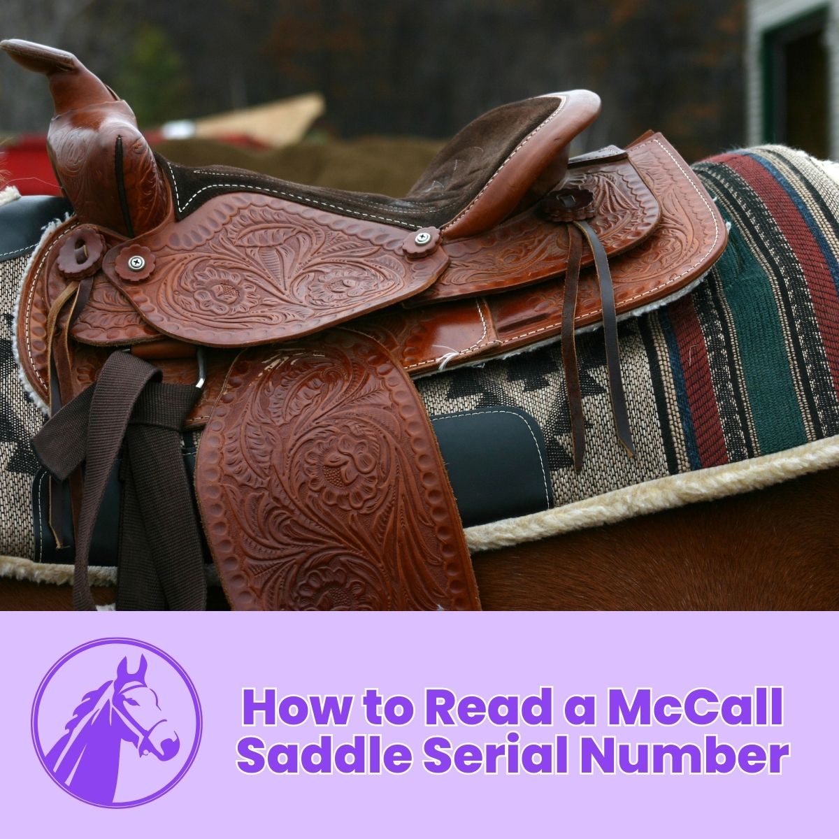 You are currently viewing How to Read a McCall Saddle Serial Number