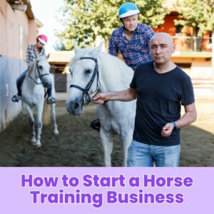 Read more about the article How to Start a Horse Training Business: A Step-by-Step Guide