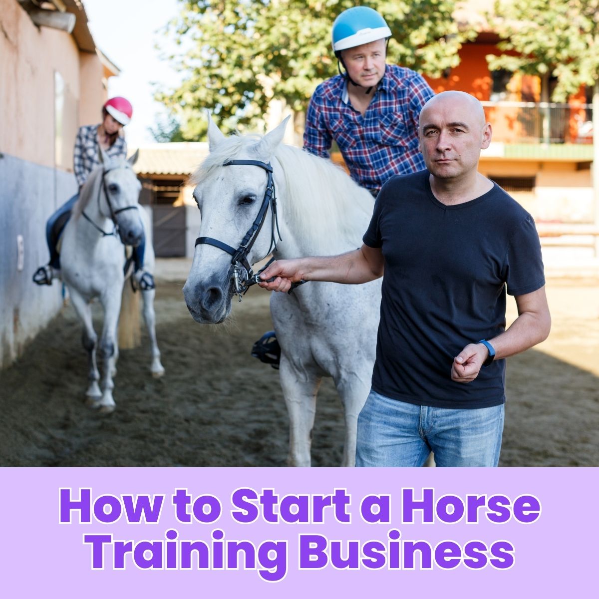 You are currently viewing How to Start a Horse Training Business: A Step-by-Step Guide