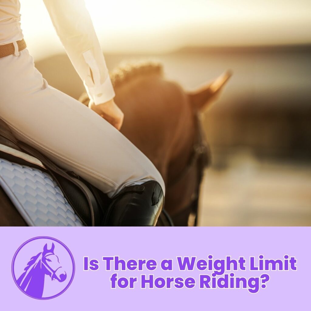 Is-There-a-Weight-Limit-for-Horse-Riding