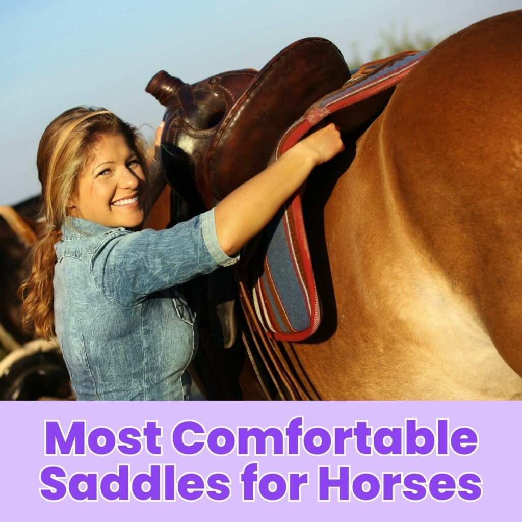 Most Comfortable Saddles for Horses: Top Picks for Optimal Riding Experience