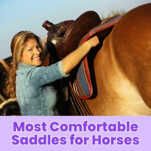 Read more about the article Most Comfortable Saddles for Horses: Top Picks for Optimal Riding Experience