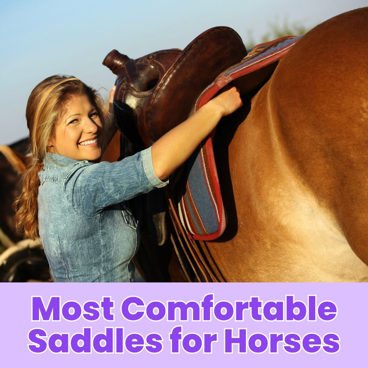 You are currently viewing Most Comfortable Saddles for Horses: Top Picks for Optimal Riding Experience