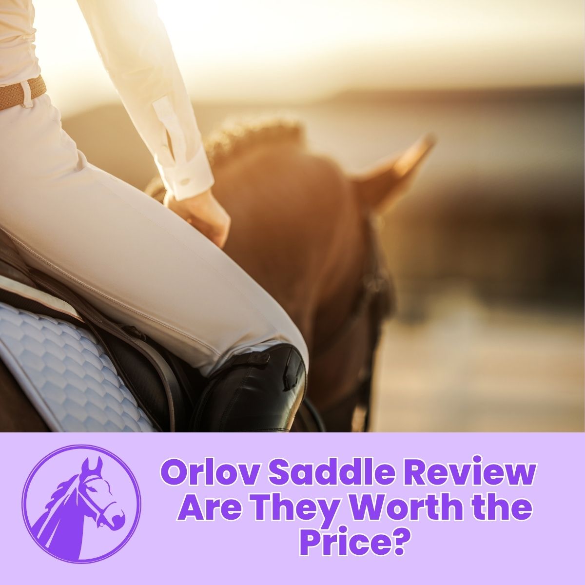You are currently viewing Orlov Saddle Review – Are They Worth the Price?