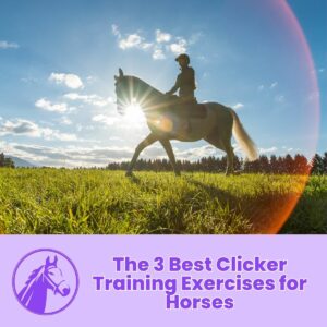 Read more about the article The 3 Best Clicker Training Exercises for Horses