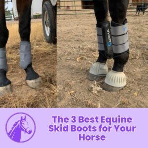 Read more about the article The 3 Best Equine Skid Boots for Your Horse