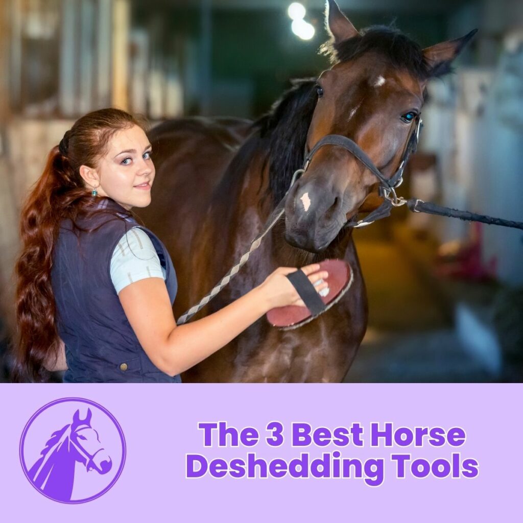 The 3 Best Horse Deshedding Tools