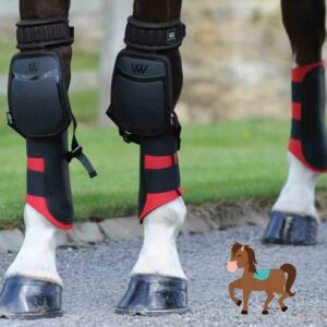 Read more about the article The 3 Best Knee Boots for Horses Reviewed