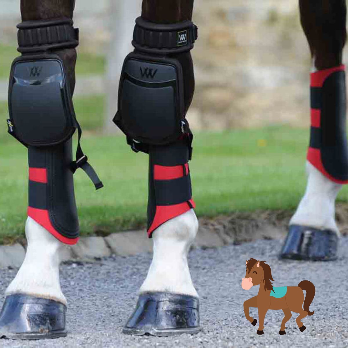 You are currently viewing The 3 Best Knee Boots for Horses Reviewed