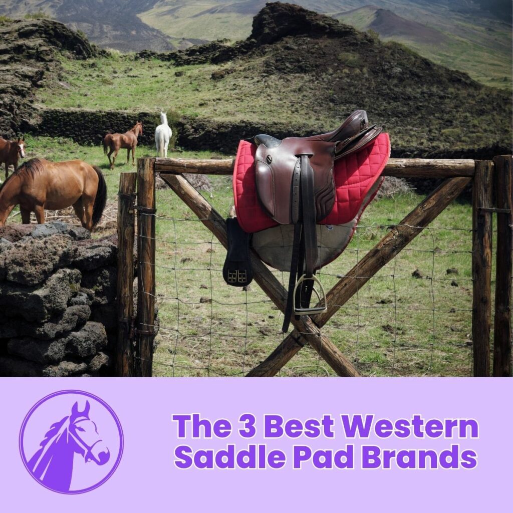 The 3 Best Western Saddle Pad Brands