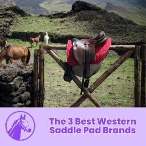 Read more about the article The 3 Best Western Saddle Pad Brands