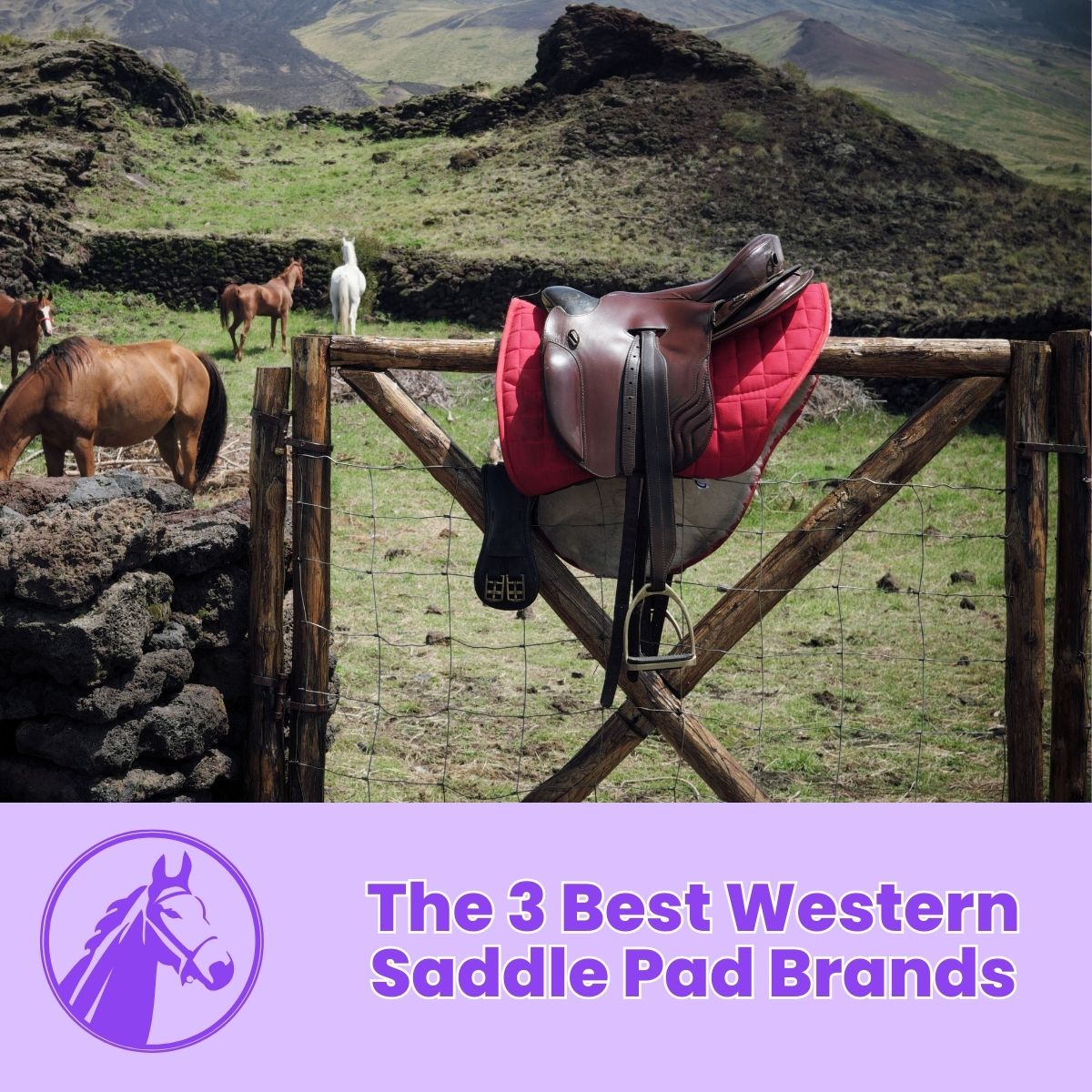 You are currently viewing The 3 Best Western Saddle Pad Brands