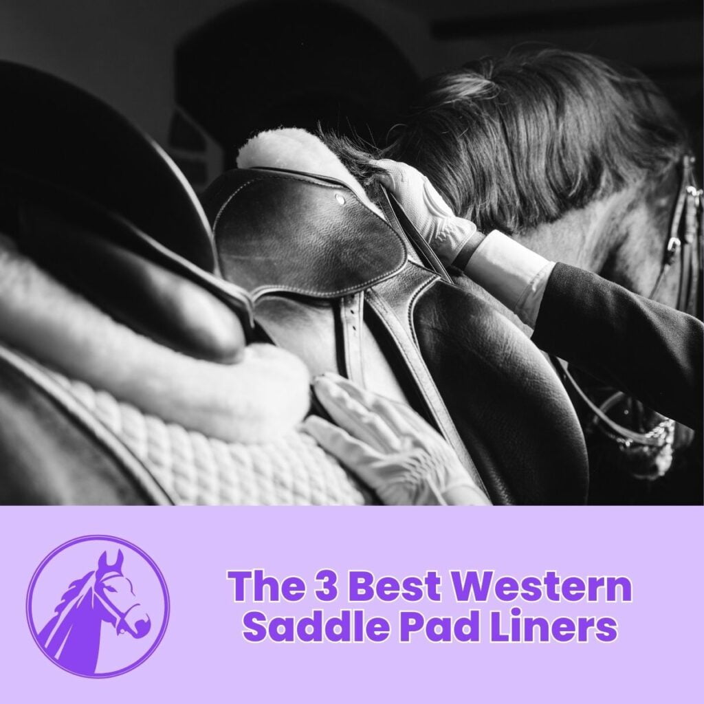 The 3 Best Western Saddle Pad Liners