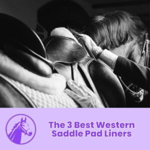 Read more about the article The 3 Best Western Saddle Pad Liners