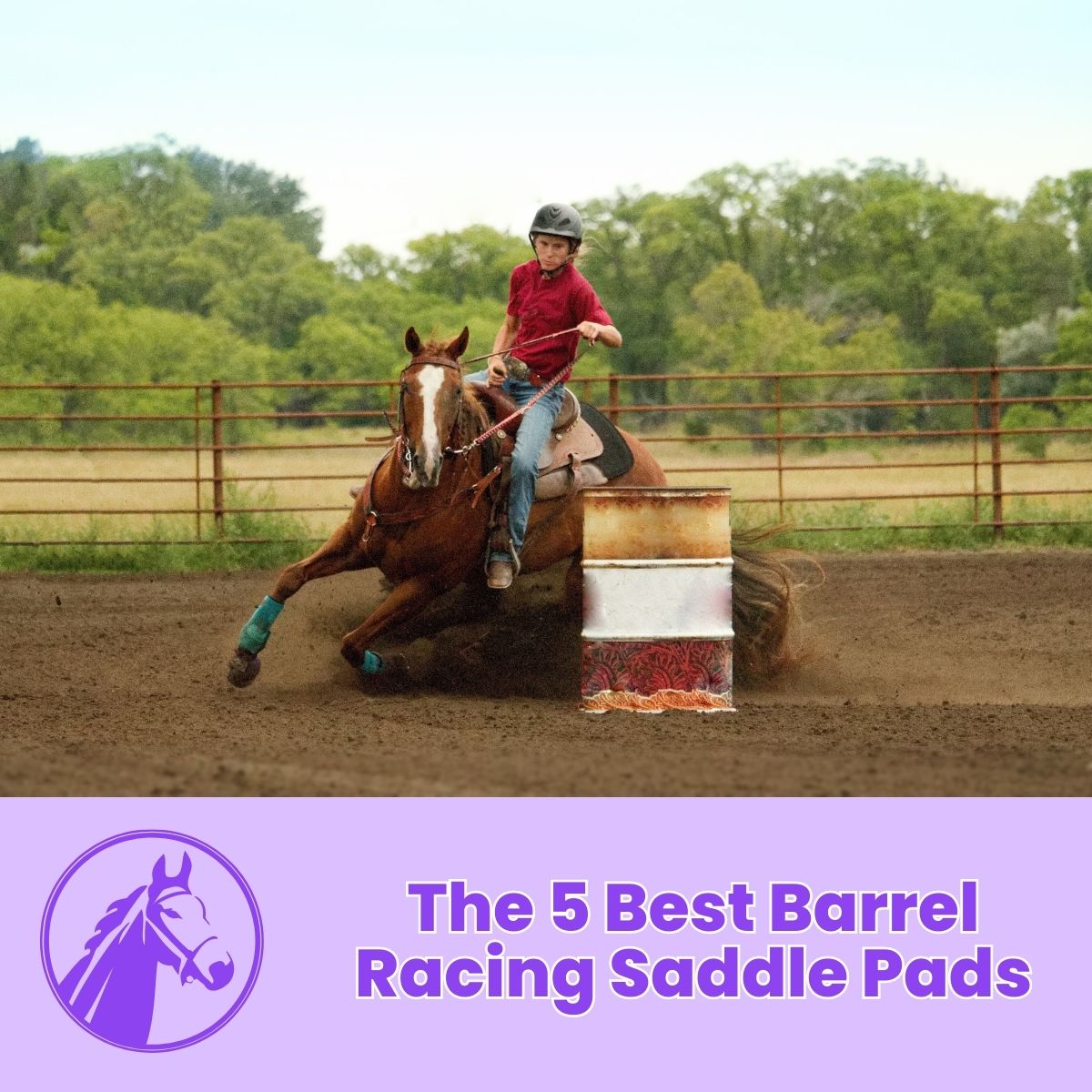 You are currently viewing The 5 Best Barrel Racing Saddle Pads