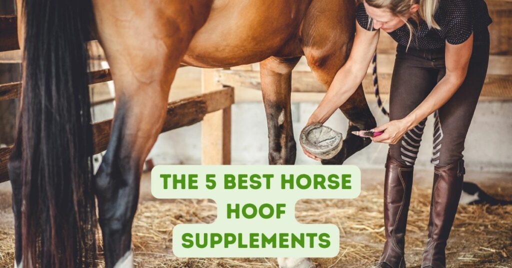 The 5 Best Horse Hoof Supplements