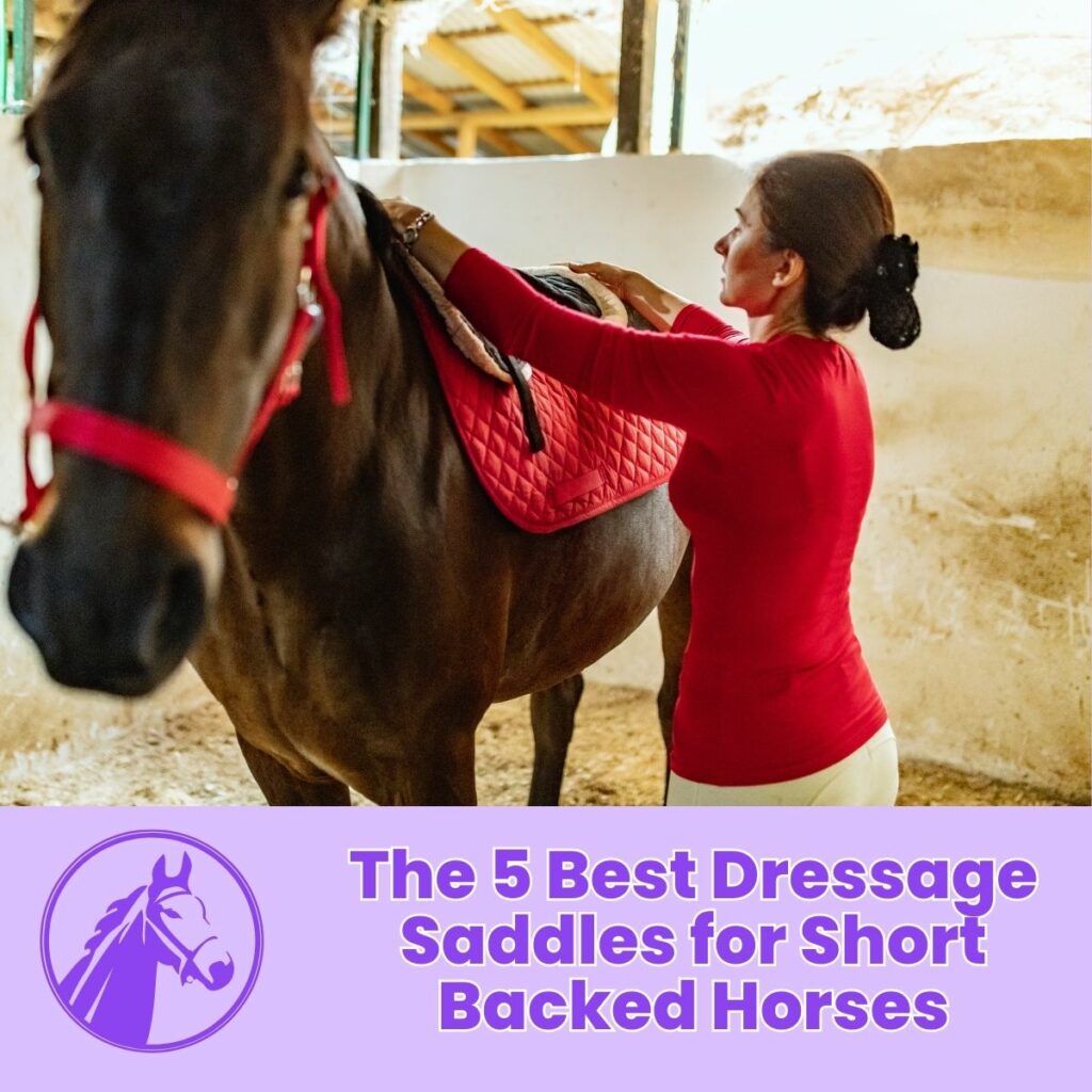 The 5 Best Dressage Saddles for Short Backed Horses