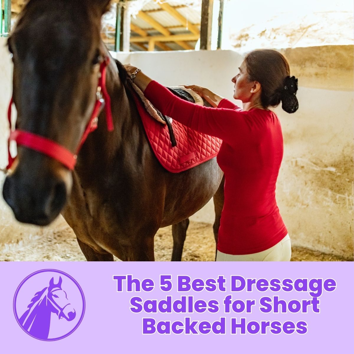 You are currently viewing The 5 Best Dressage Saddles for Short Backed Horses