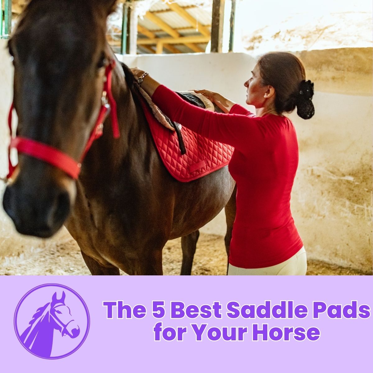 You are currently viewing The 5 Best Saddle Pads for Your Horse