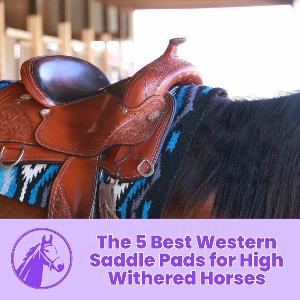 The 5 Best Western Saddle Pads for High Withered Horses