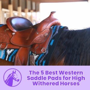 Read more about the article The 5 Best Western Saddle Pads for High Withered Horses