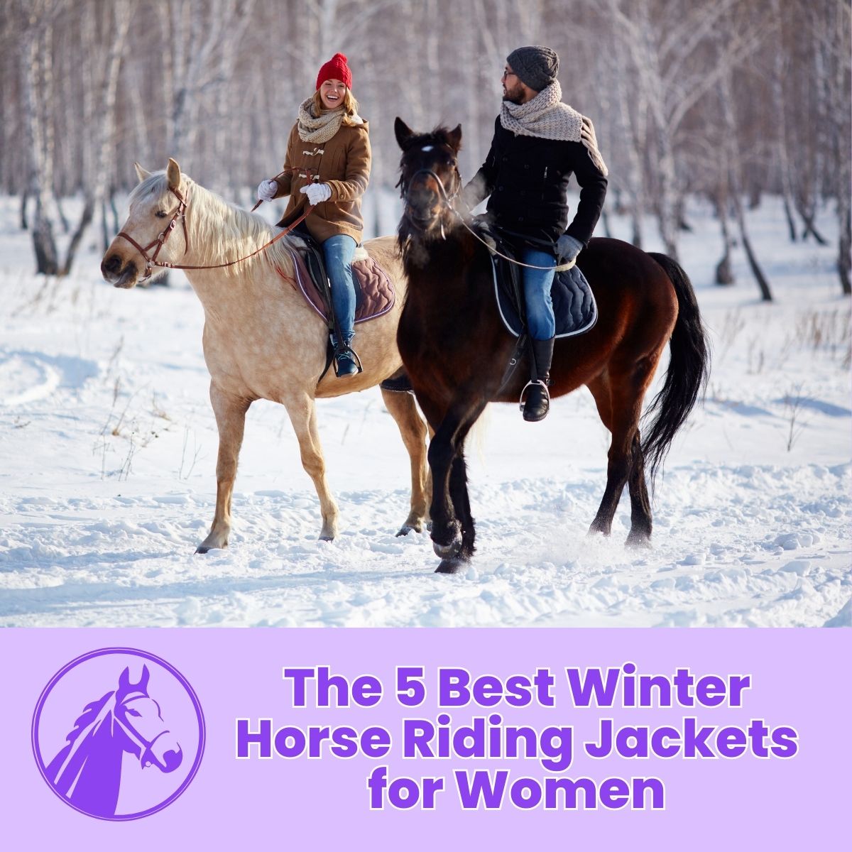 Read more about the article The 5 Best Winter Horse Riding Jackets for Women