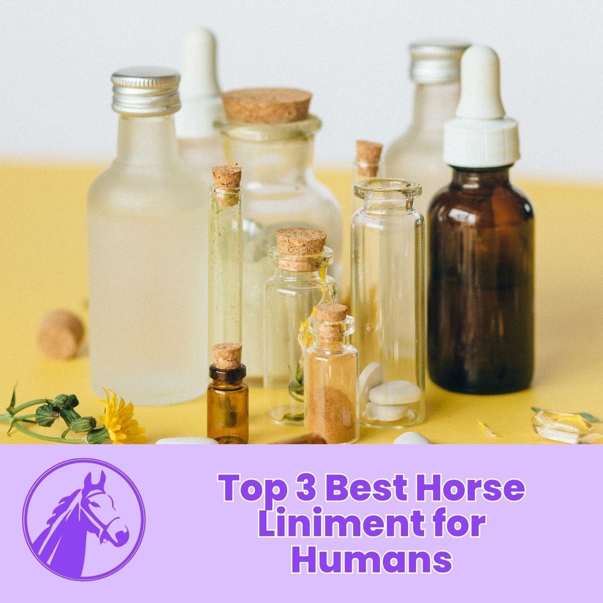 You are currently viewing Top 3 Best Horse Liniment for Humans: 2023 Guide