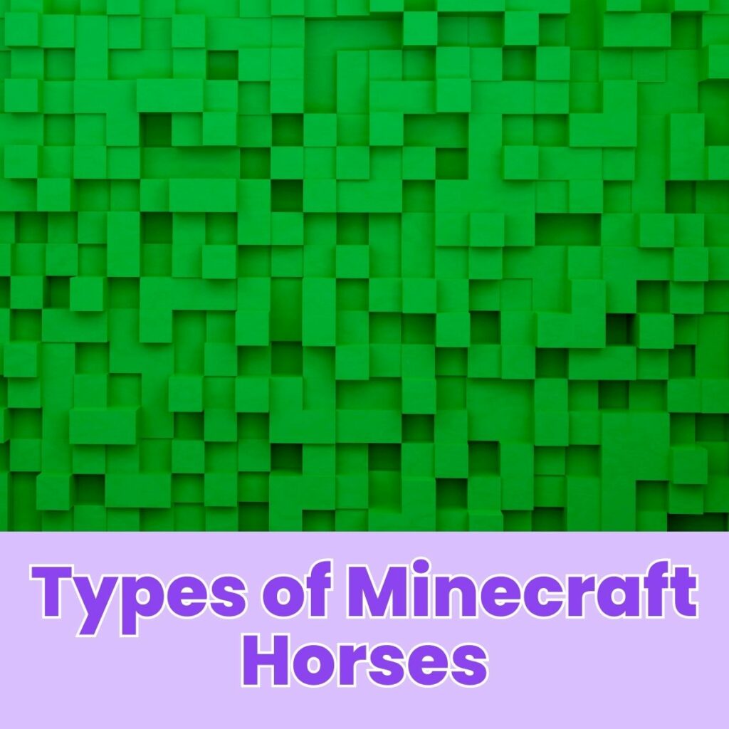 Types of Minecraft Horses