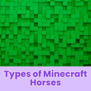 Read more about the article Types of Minecraft Horses