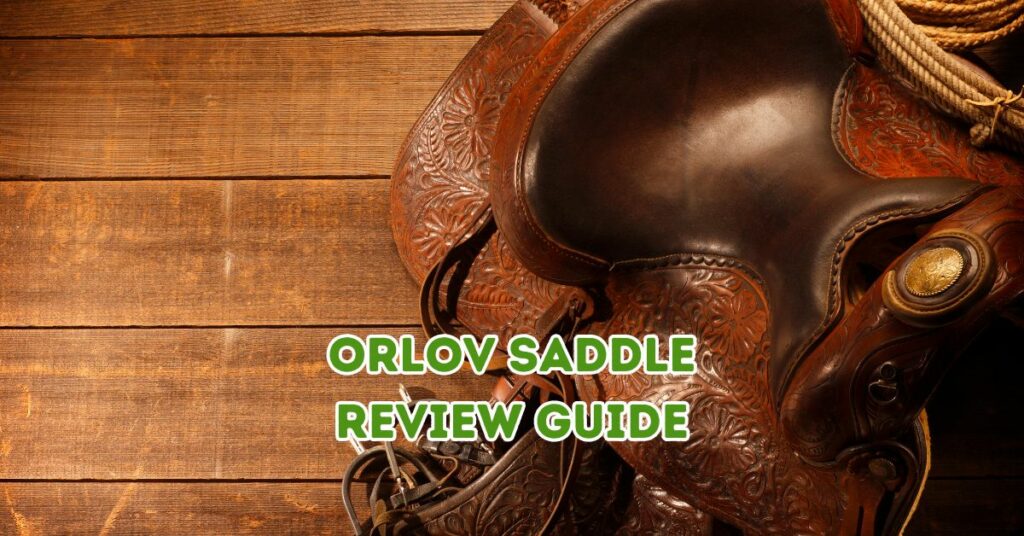 orlov saddle review guide