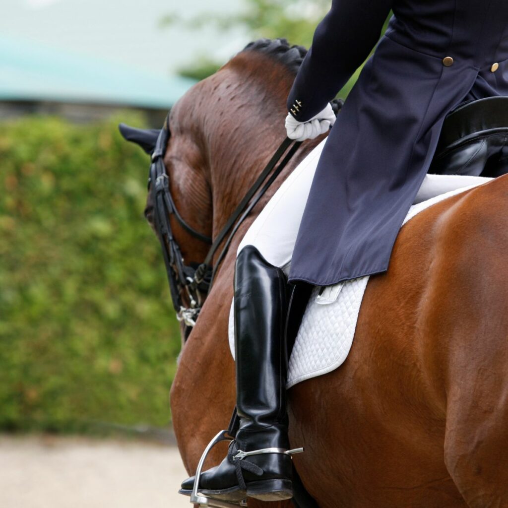 3 Tips to Immediately Improve Your Dressage Scores