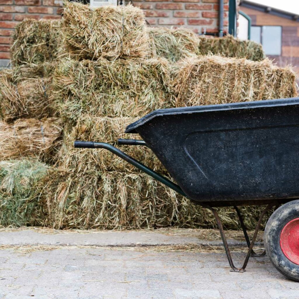 Best Equestrian Wheelbarrow: Top Picks for Horse Owners in 2023