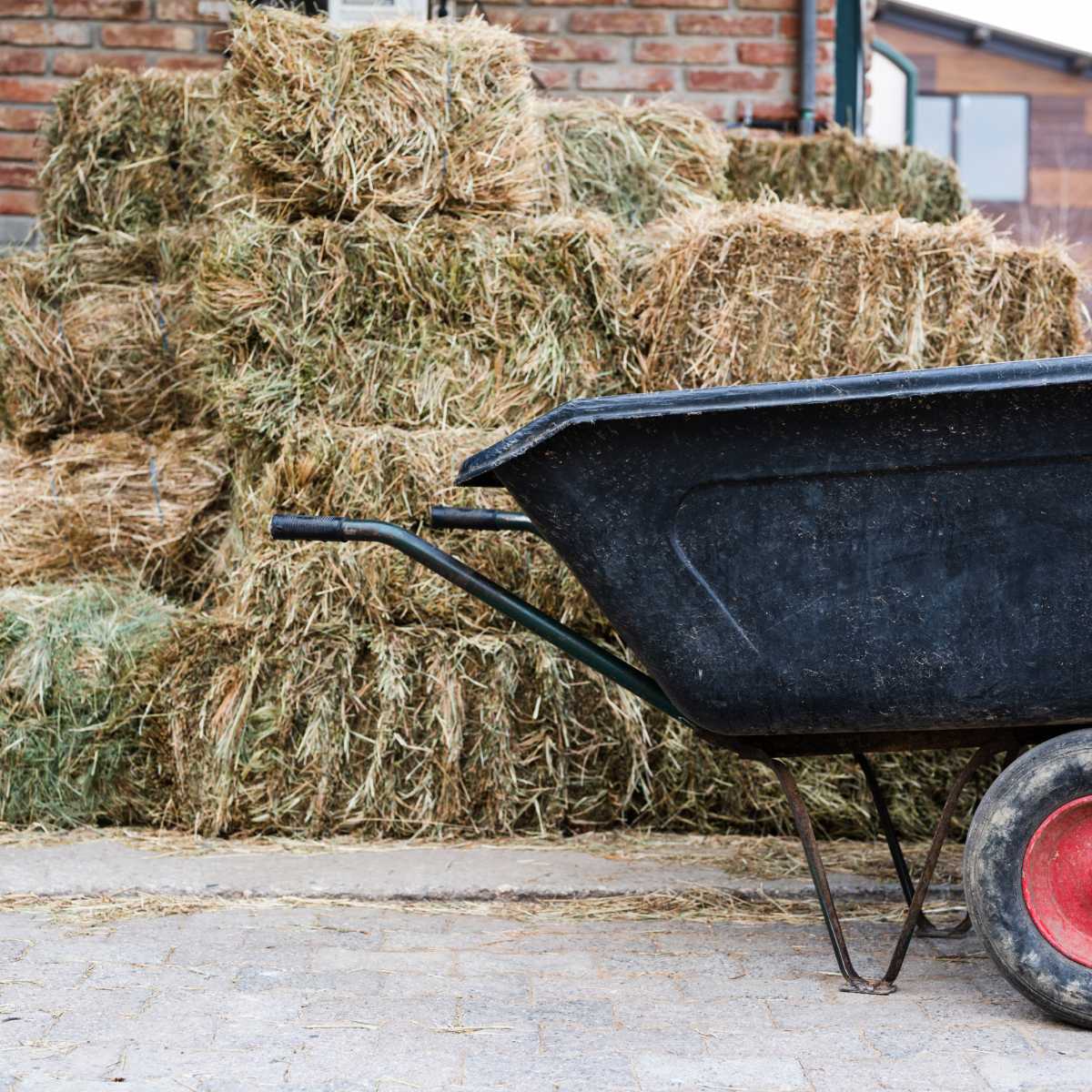 You are currently viewing Best Equestrian Wheelbarrow: Top Picks for Horse Owners in 2023