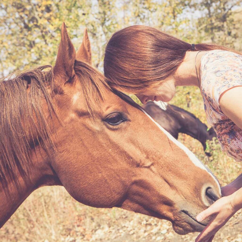 Best Horse Lover Gifts: Top Picks for Equine Enthusiasts in 2023