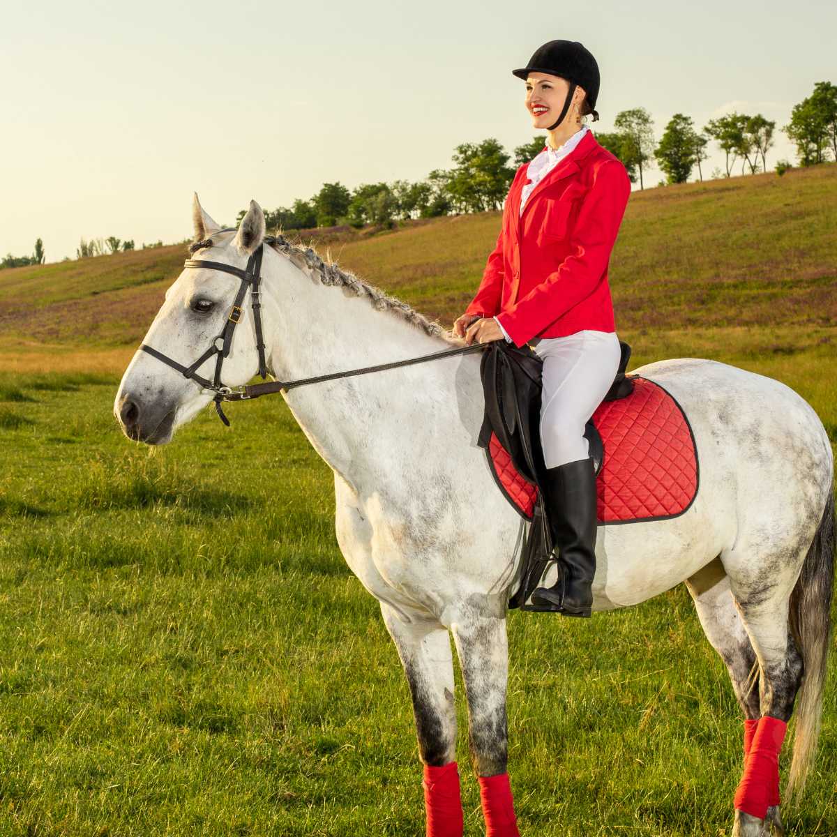You are currently viewing Best Horse Riding Breeches: Top Choices for Comfort and Performance