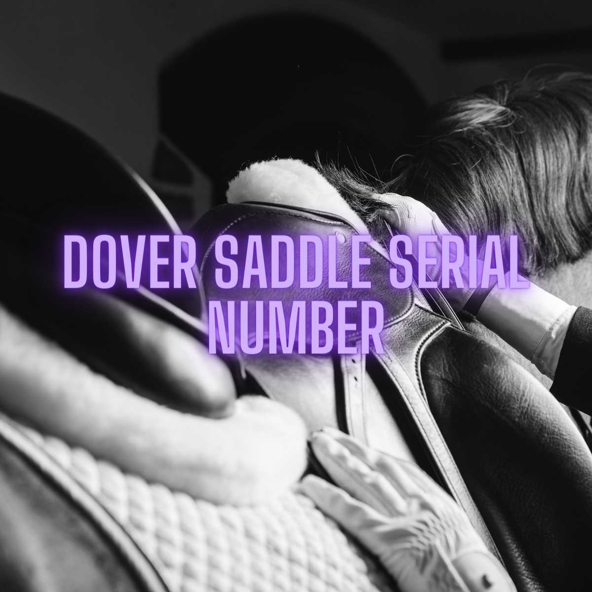 Read more about the article How to Read a Dover Saddle Serial Number