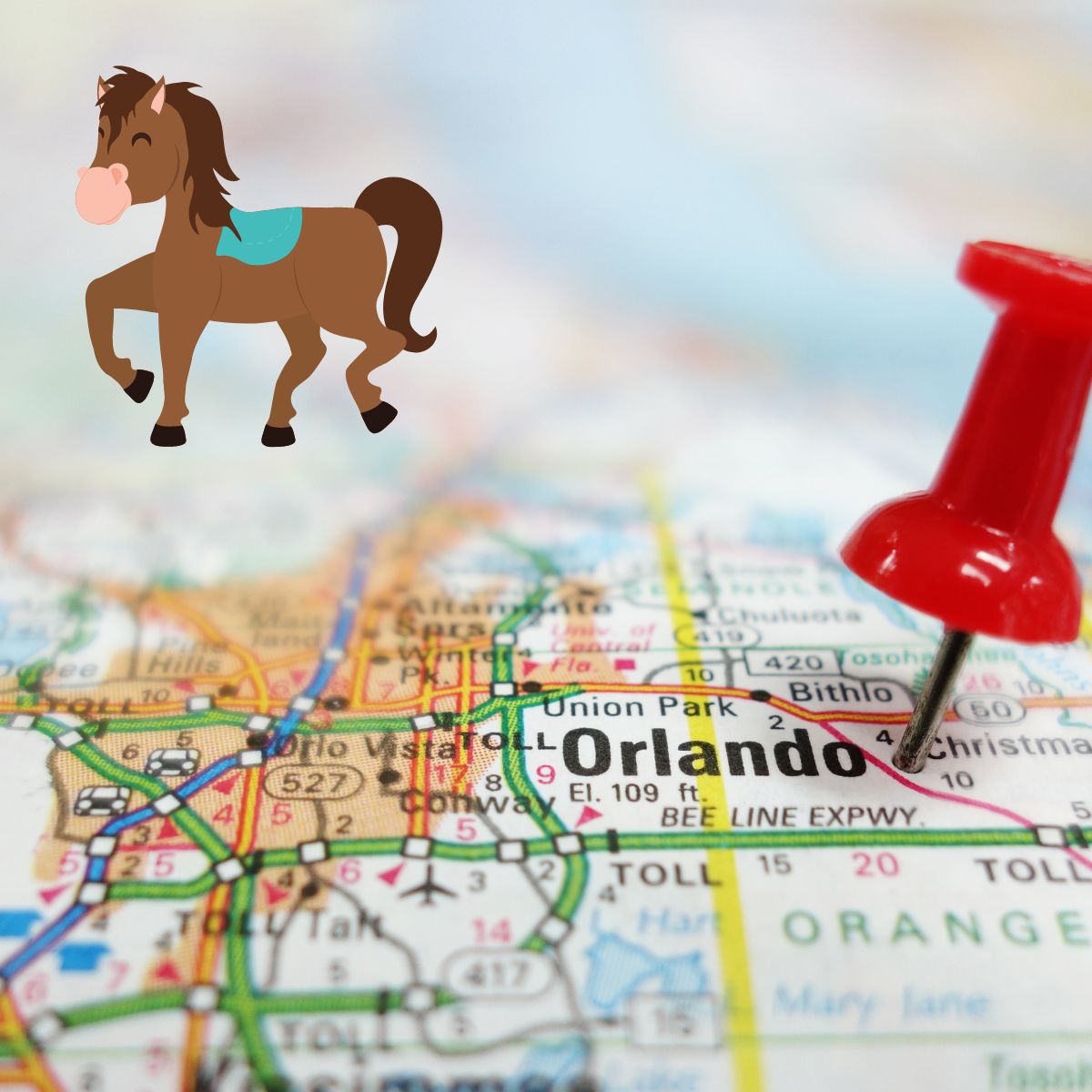 Read more about the article Horse Riding Orlando – Where To Go?