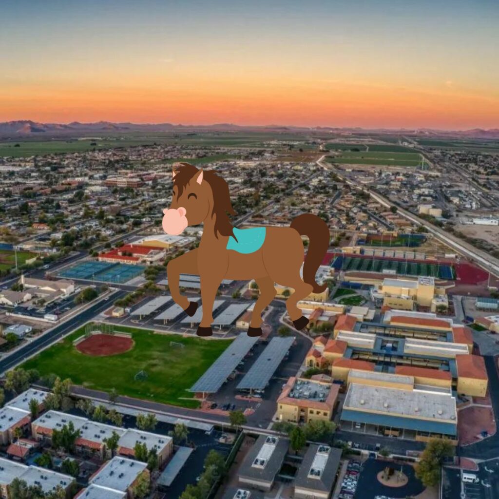 Horseback Riding Buckeye, AZ – Where To Go?
