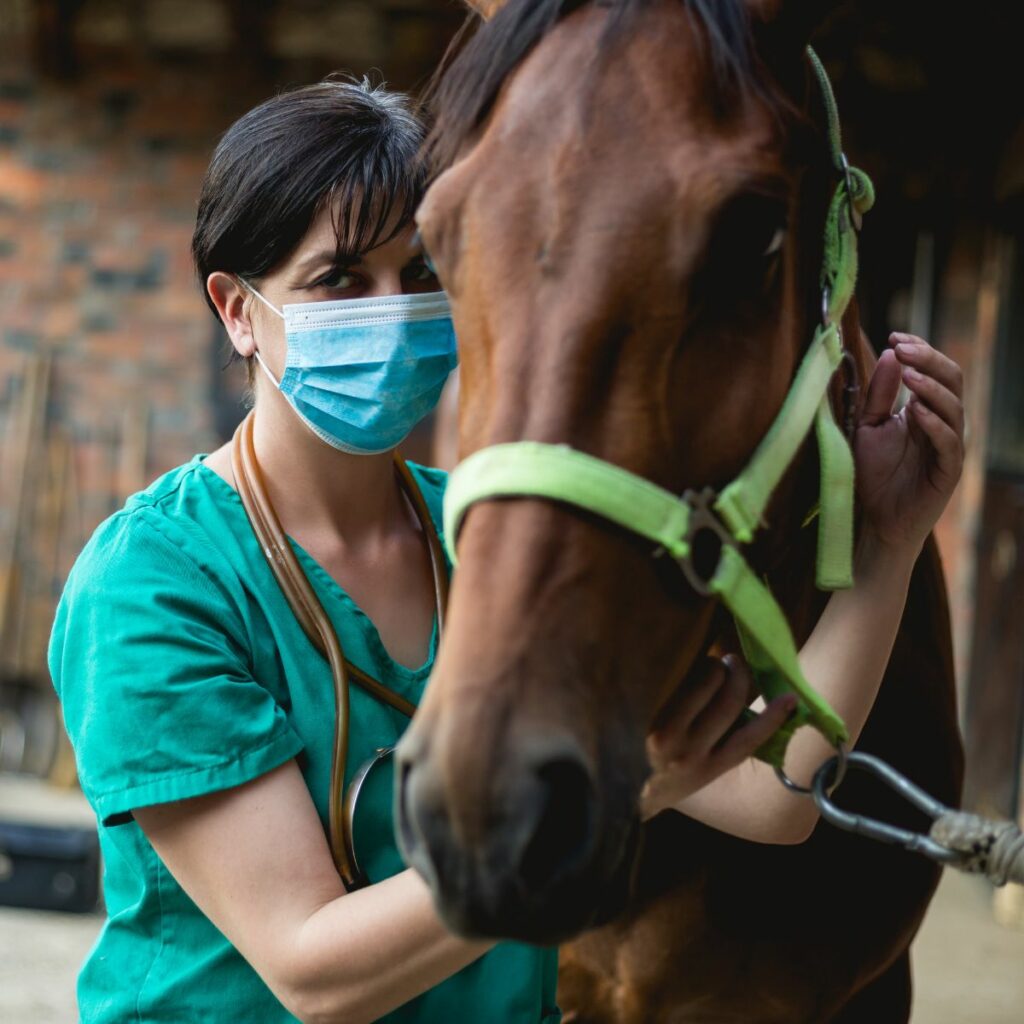 How Long Can a Horse Live with EPM - Treatment