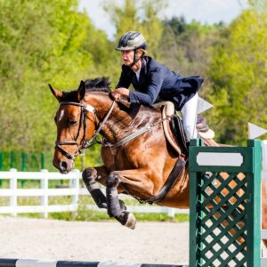 Read more about the article How to Jump a Horse