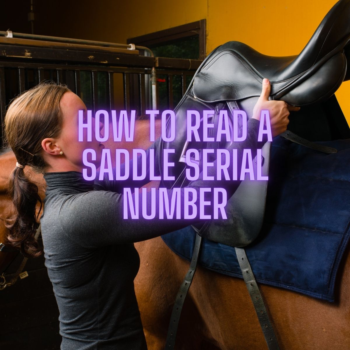 You are currently viewing How to Read a Saddle Serial Number