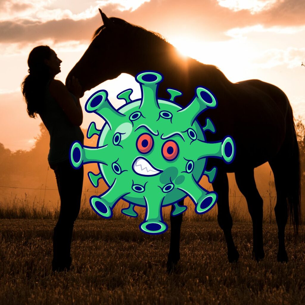 The 10 Most Common Horse Diseases