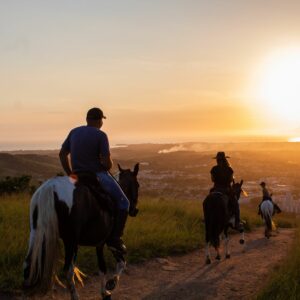 Read more about the article Top 10 Beginner Horse Riding Mistakes
