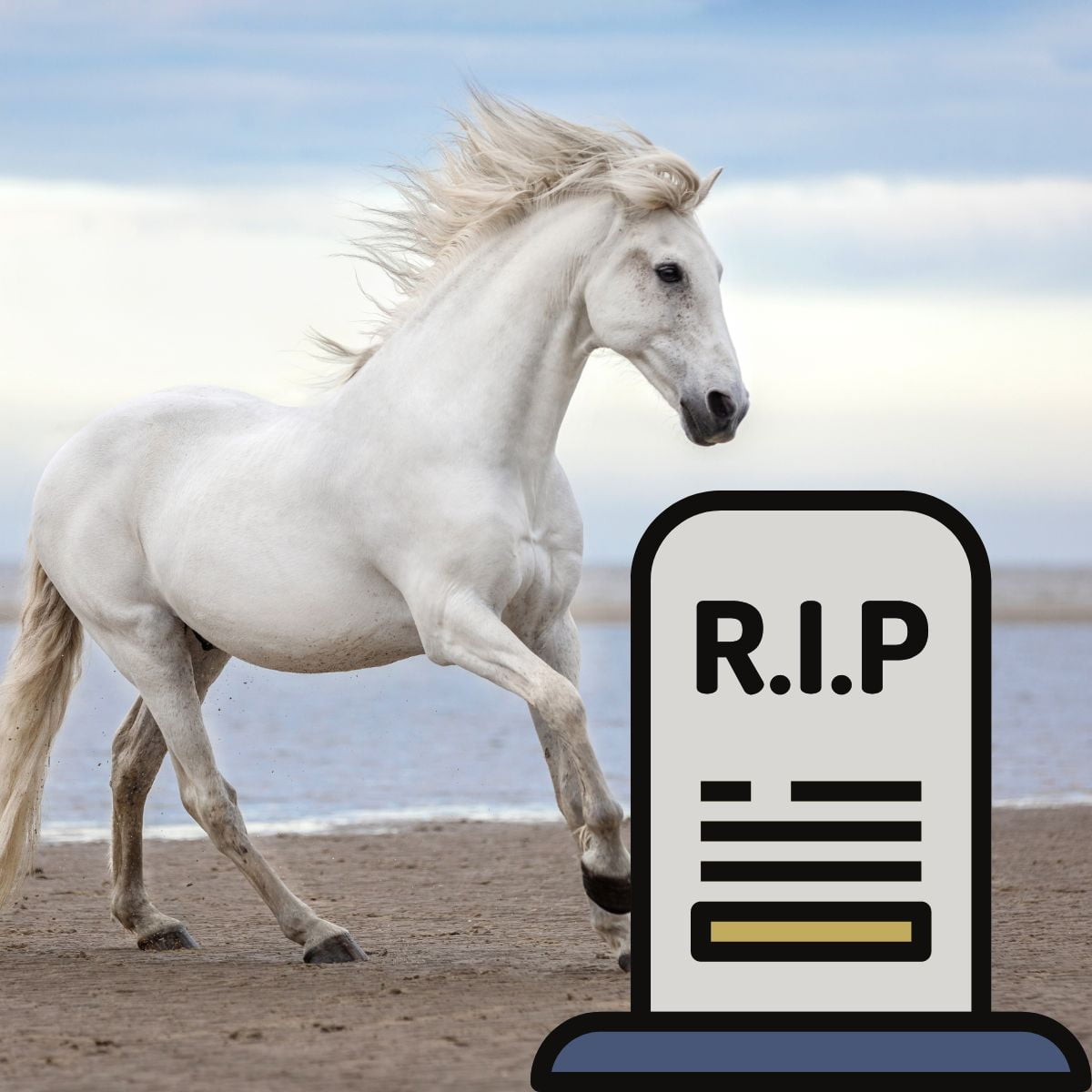 You are currently viewing What to Do When Your Horse Dies: Expert Advice for Grieving Owners