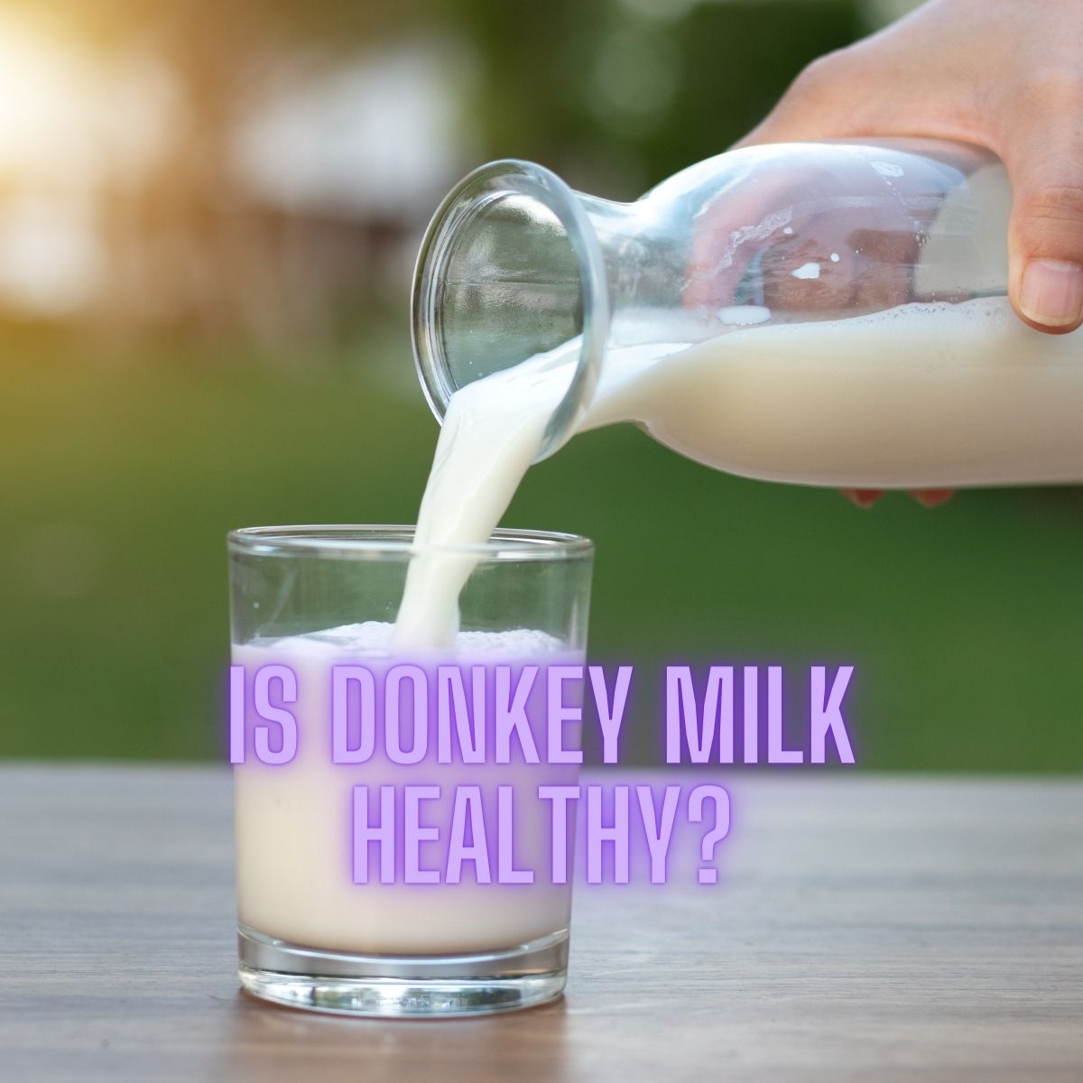 You are currently viewing Is Donkey Milk Healthy? Benefits and Risks Explained