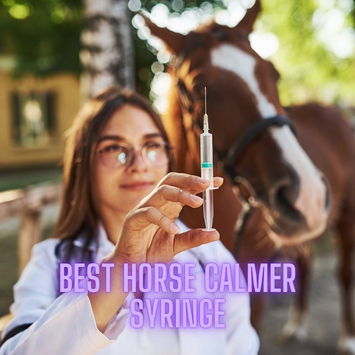 Best Horse Calmer Syringe: Top Choices for Equestrian Ease