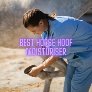 Read more about the article Best Horse Hoof Moisturiser: Expert Recommendations for 2023