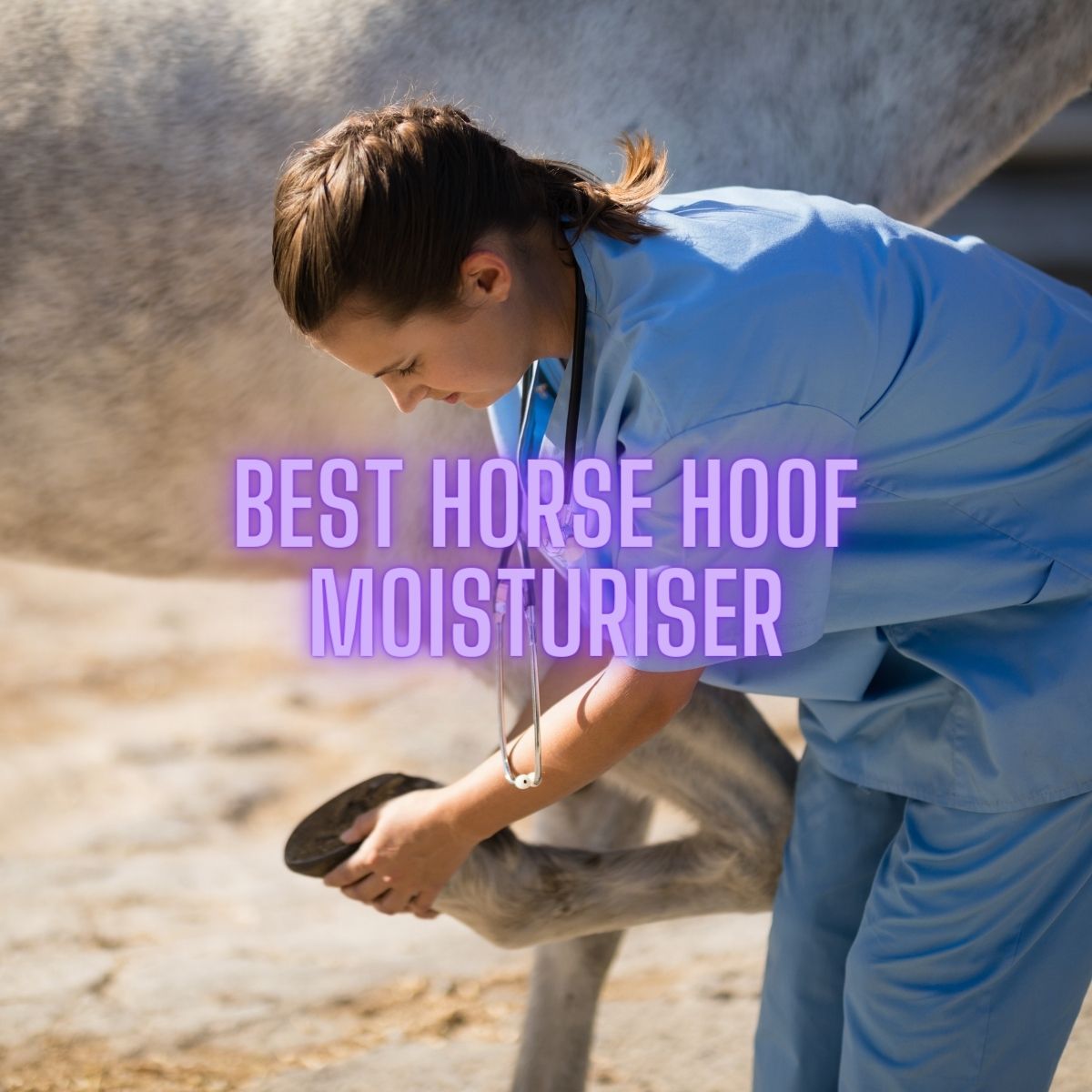 You are currently viewing Best Horse Hoof Moisturiser: Expert Recommendations for 2023